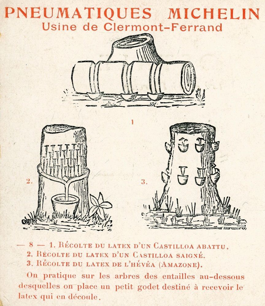 La carte postale est intitulée "Pneumatiques Michelin, usine de Clermont-Ferrand". Trois illustrations décrivent différentes techniques permettant de récolter du latex. Les dessins montrent les entailles du bois sous lesquelles sont placés des godets.