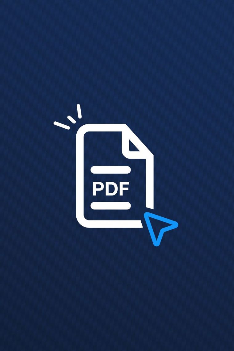 Icone pour document PDF