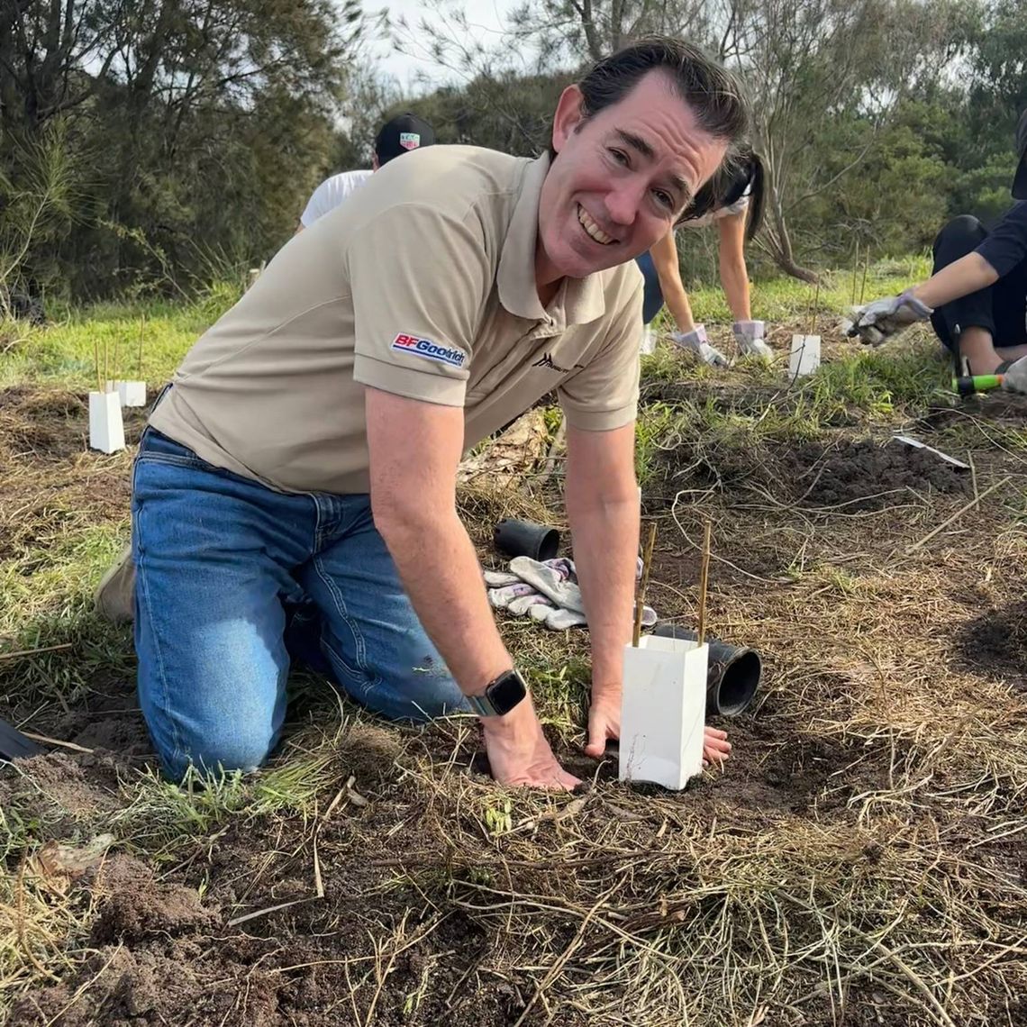 Tree planting