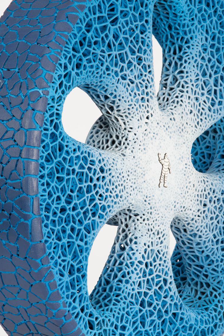 Représentation du concept Vision illustrant une structure alvéolaire semblable à celle d'un corail