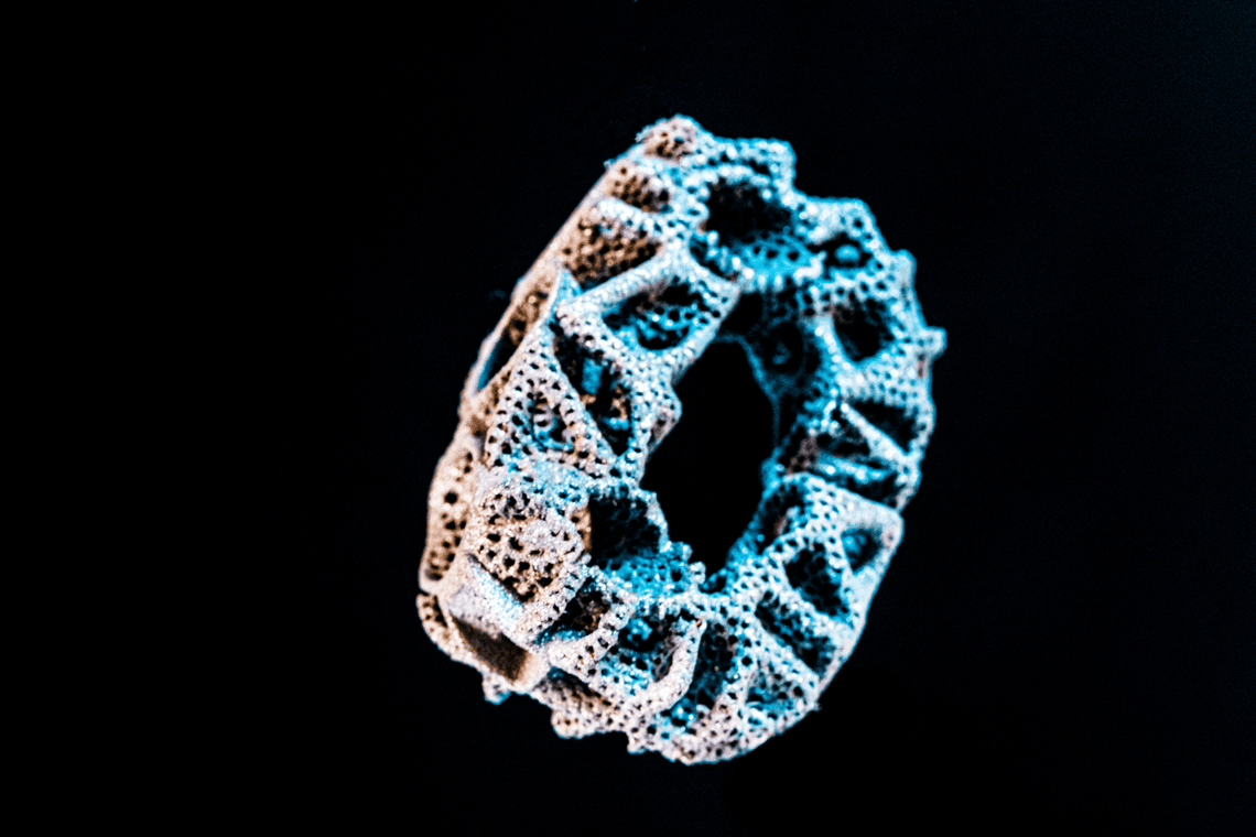 implant medical 3d print verte bre modifie