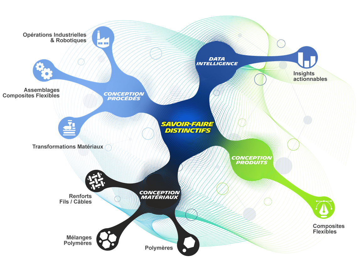 savoirfairedistinctif infographie s