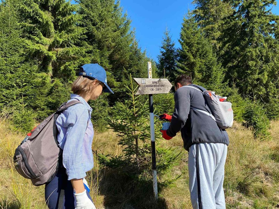 Two Michelin volunteers are installing information signs along mountain trails.